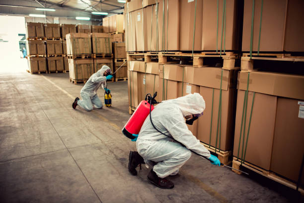 Best Rat Extermination Near Me  in Faribault, MN